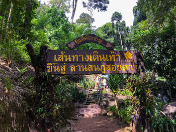 Information sign on footpath amidst trees in forest