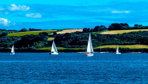 Sailboats in calm blue sea against sky