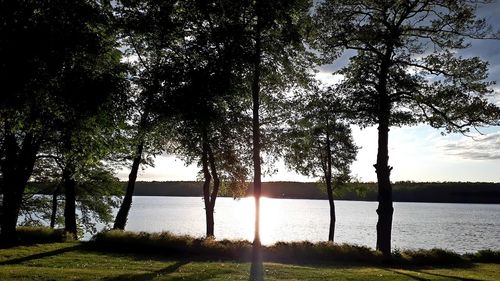 Trees by lake against sky