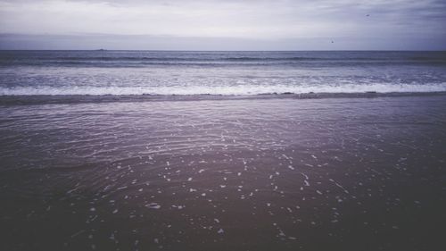 sea