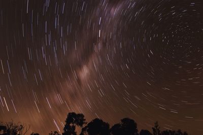 Low angle view of trees against sky at night