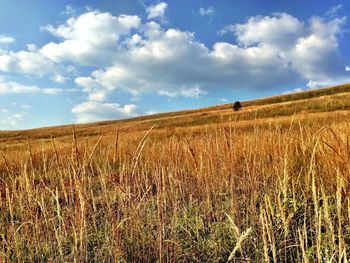 Scenic view of field against cloudy sky