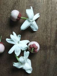 Directly above shot of white rose on table