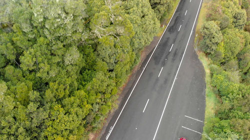 High angle view of road amidst trees