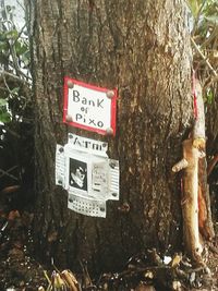 Information sign on tree trunk in forest