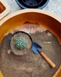 High angle view of spices on table