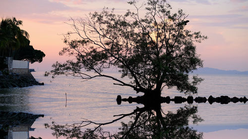 Silhouette tree by lake against sky during sunset