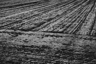 Full frame shot of agricultural field