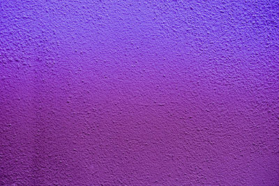 Detail shot of pink wall