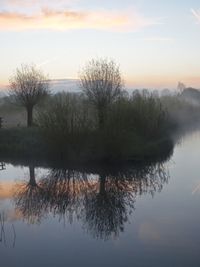 Reflection of trees in calm lake