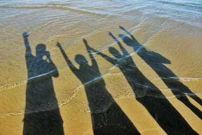 Shadow of people with arms raised while standing on shore