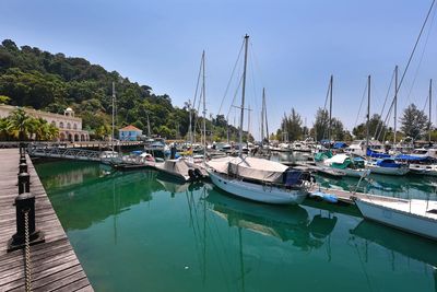 Sailboats moored at harbor