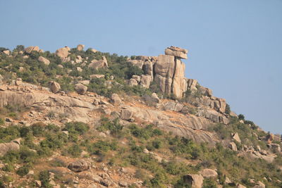 Low angle view of trees against clear sky