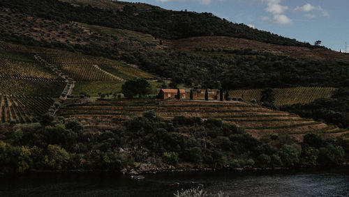 Scenic view of farm against sky