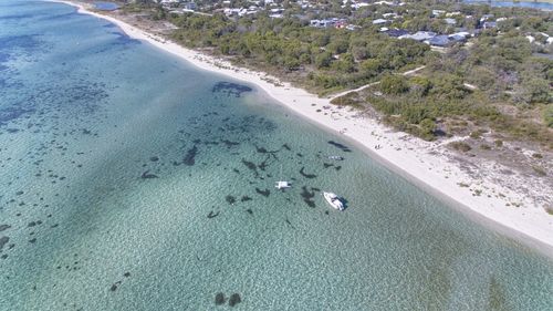 High angle view of crab on beach