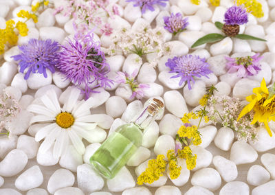 High angle view of oil bottle on stones and flowers