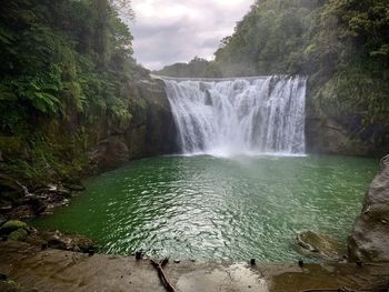 Scenic view of waterfall in forest