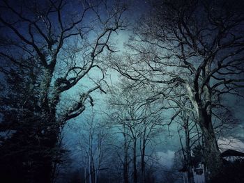 Low angle view of bare trees against sky