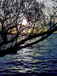 Silhouette tree by river against sky