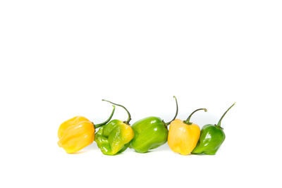 Close-up of bell peppers against white background