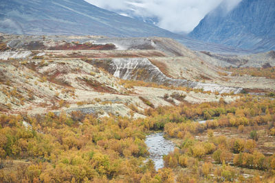 Dørålen norway