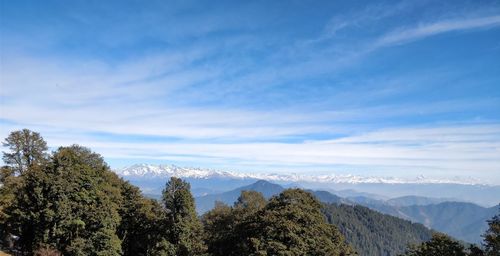 Panoramic view of trees on landscape against sky