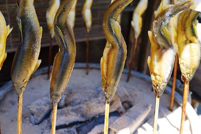 Close-up of fish for sale