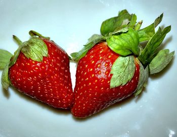 Close-up of strawberries in plate