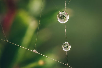 Low angle view of water drops on spider web