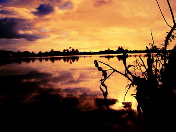 Silhouette trees against sky during sunset