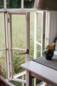 Potted plants on glass window