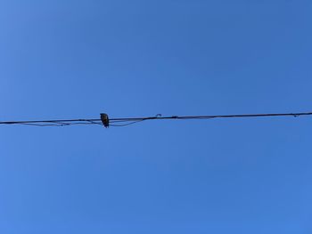 Low angle view of birds perching on cable