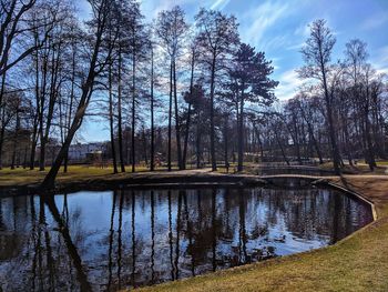 Reflection of trees in lake against sky