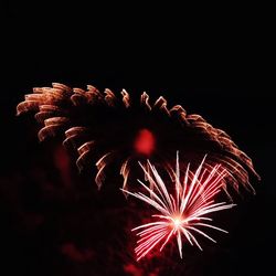 Low angle view of firework display