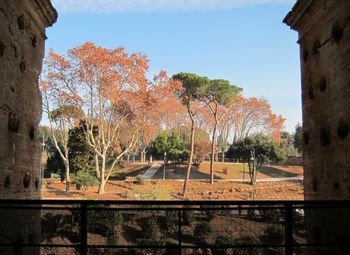 Built structure with trees in background