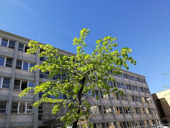 Low angle view of building against clear blue sky