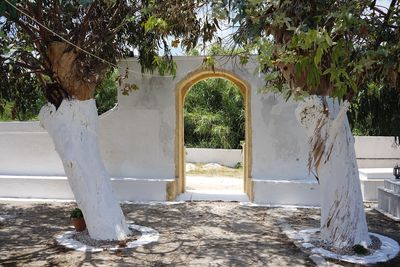 Trees on field seen through entrance