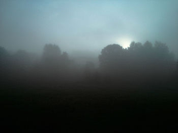 Scenic view of trees in foggy weather