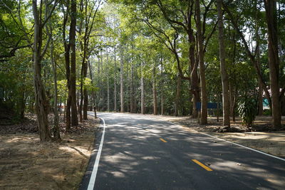 Empty road along trees in forest