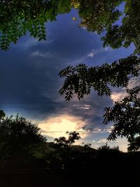 Low angle view of silhouette trees against sky at sunset