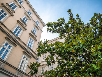 Low angle view of tree and building against sky