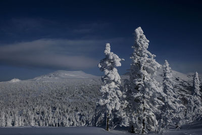 Sunny winter morning in the mountains of sheregesh on the ski track