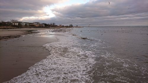 Scenic view of beach against sky