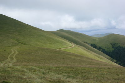 Scenic view of green landscape against sky