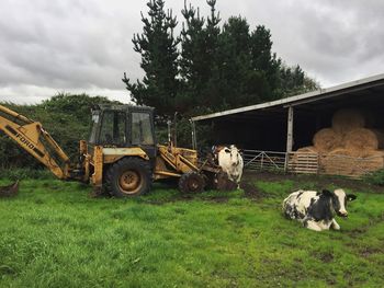 View of horse cart on field