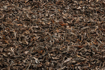 Texture and full frame background of flat heap of dry long-term black tea