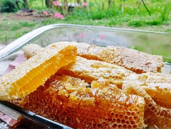 High angle view of orange cake