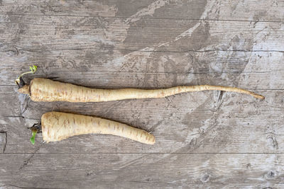 Close-up high angle view of radish on wooden table