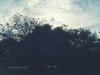 Low angle view of trees against cloudy sky