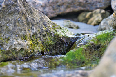 Close-up of rocks in water